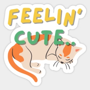 feelin cute cat sleeping Sticker